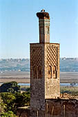 Rabat - La necropoli di Chellah, Minareto della moschea ricoperto da un nido di cicogna.